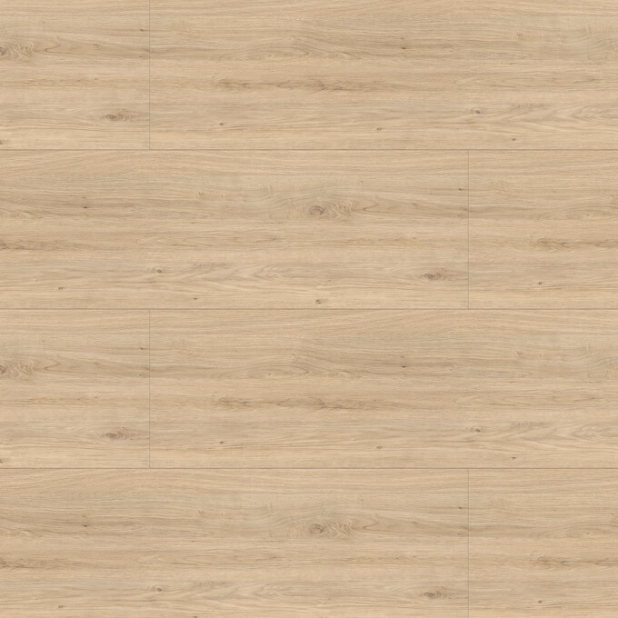 LOGOCLIC<sup>®</sup> Ceiling & wall panels decoration: Decor 5554p Oak Colorado