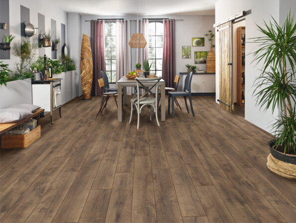 Gemütliches Esszimmer mit Holztisch, farbigen Stühlen, Pflanzen und Laminatboden. Rustikales Ambiente mit viel Tageslicht.