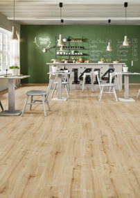 Gemütliches Café mit hellem Laminatboden, weißen Möbeln und grüner Wand mit Menü.