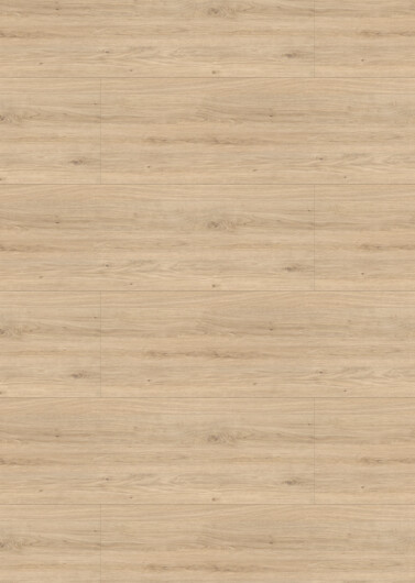 LOGOCLIC<sup>®</sup> Ceiling & wall panels decoration: Decor 5554p Oak Colorado