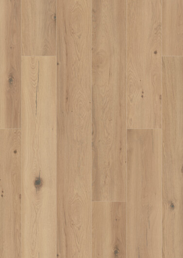 LOGOCLIC<sup>®</sup> Laminátové podlahy silentos: Dekor K269 Dub Forli