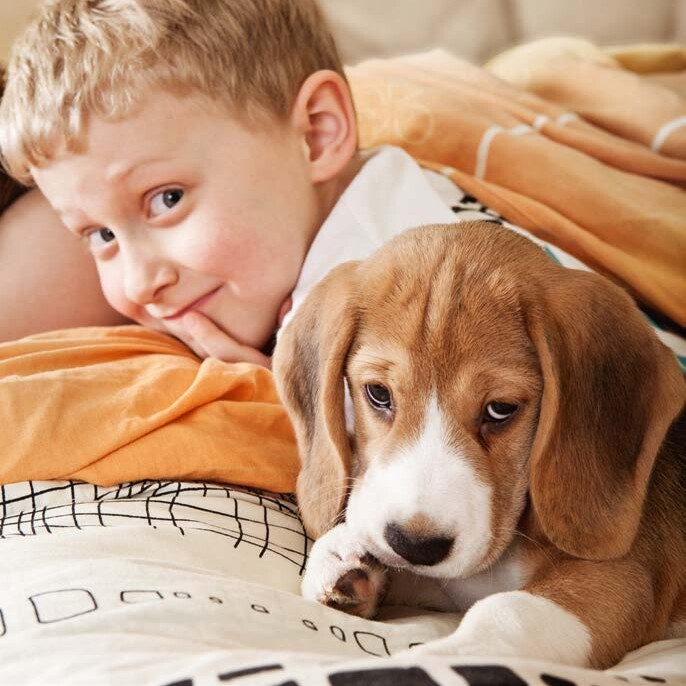 Ein Bub und ein kleiner Hund liegen auf dem Sofa