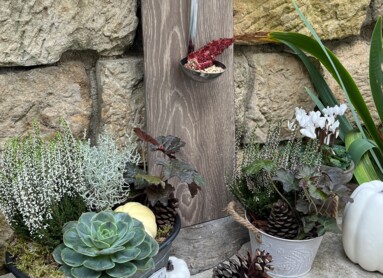 Rustikale Gartendekoration mit Pflanzen in Metallgefäßen, Kieferzapfen und einem an der Wand hängenden Löffel.