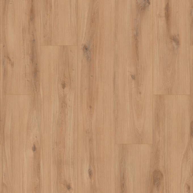 LOGOCLIC<sup>®</sup> Laminatboden edition 2026: Dekor K230e Sunshine Oak