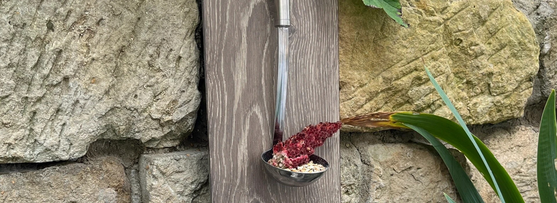Rustikale Gartendekoration mit Pflanzen in Metallgefäßen, Kieferzapfen und einem an der Wand hängenden Löffel.