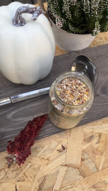 Ein Glas mit Körnern neben einer weißen Kürbisdekoration und einer Pflanze auf einem Laminatboden.