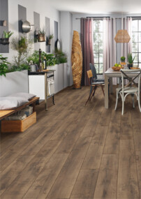 Gemütliches Esszimmer mit Holztisch, farbigen Stühlen, Pflanzen und Laminatboden. Rustikales Ambiente mit viel Tageslicht.