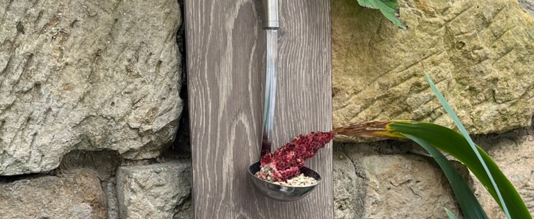 Rustikale Gartendekoration mit Pflanzen in Metallgefäßen, Kieferzapfen und einem an der Wand hängenden Löffel.