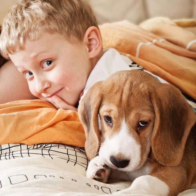 Ein Bub und ein kleiner Hund liegen auf dem Sofa