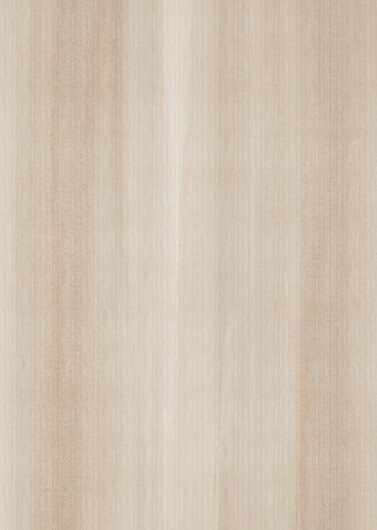 LOGOCLIC<sup>®</sup> Decken- und Wandpaneele Designwall: Dekor R187 Acera Palm