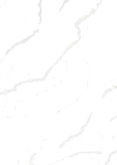 LOGOCLIC<sup>®</sup> Decken- und Wandpaneele Designwall: Dekor R202 Statuario Bianco